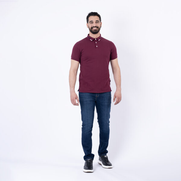 LEE COOPER POLO MAILLE-08 MASON-2 HOM-TX NAT