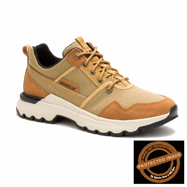 Cat Chaussures Colorado Sneaker Curry