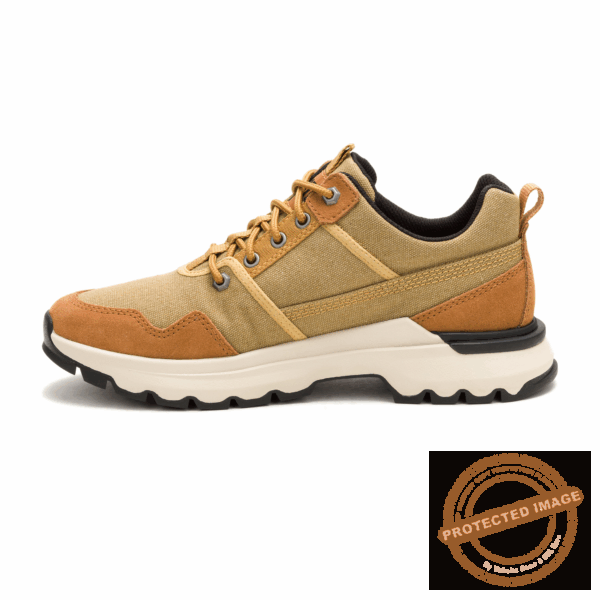 Cat Chaussures Colorado Sneaker Curry