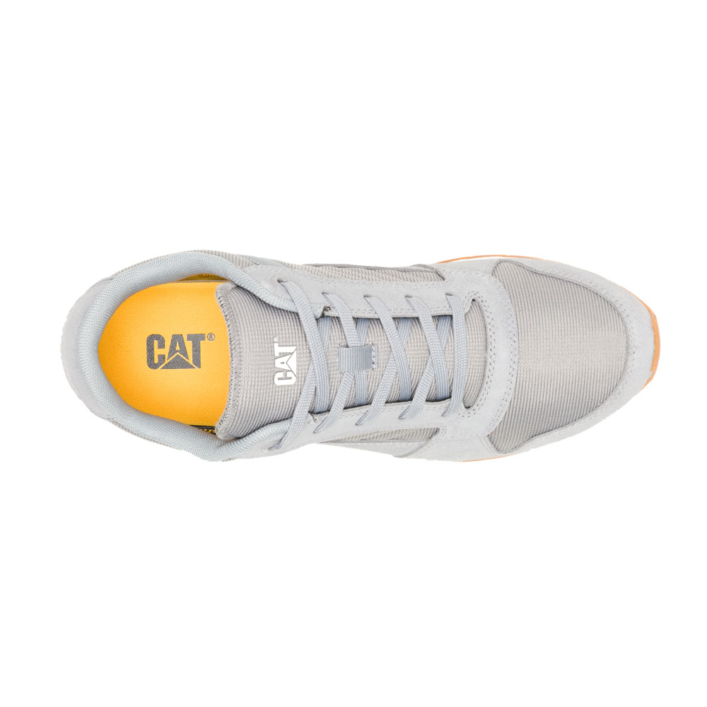 Cat Chaussures Ventura Wild Dove