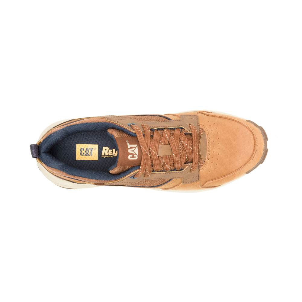 Cat Sneakers GRAPPLE LEATHER NUTHATCH