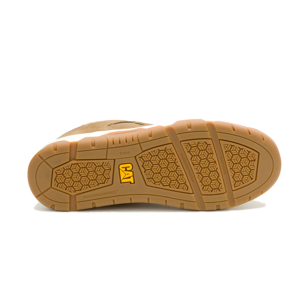 Cat Sneakers THEOREM BUTTERNUT