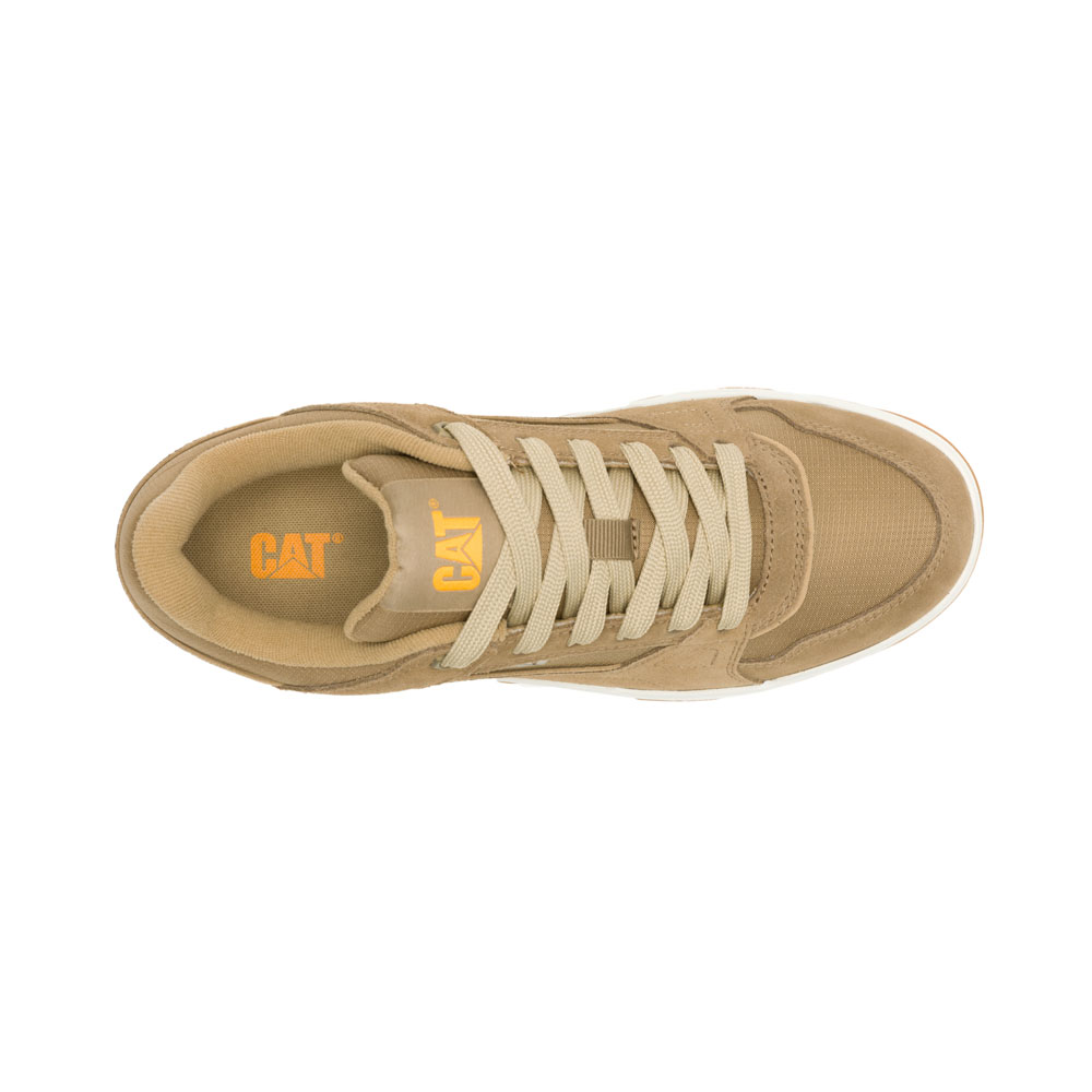 Cat Sneakers THEOREM BUTTERNUT